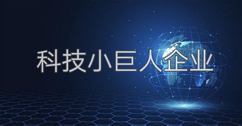 科技小巨人是什么？廣州市企業(yè)科技小巨人怎么認證申請