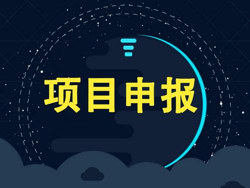 企業(yè)可以獨(dú)自申請項目補(bǔ)貼嗎？成功率怎么樣？