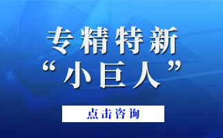 ?廣東省專(zhuān)精特新中小企業(yè)政策