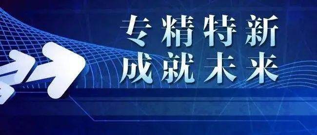 廣州專(zhuān)精特新補(bǔ)助
