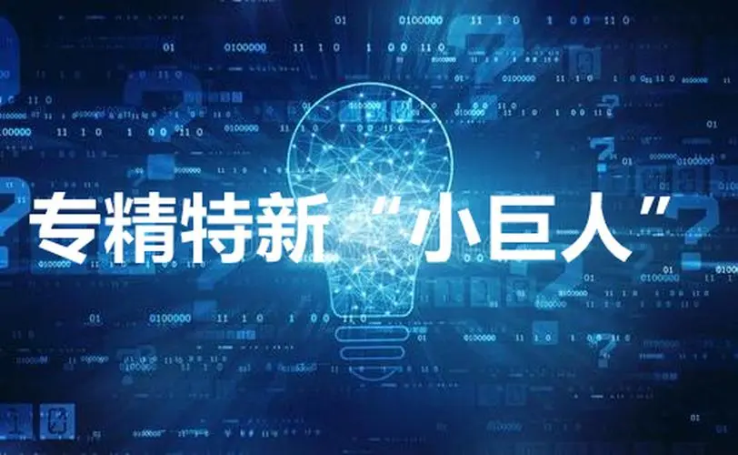 【詳細(xì)】專精特新企業(yè)申報(bào)流程、條件、領(lǐng)域